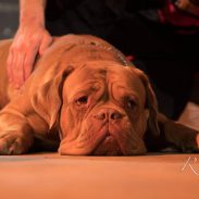 Февруари Февруари